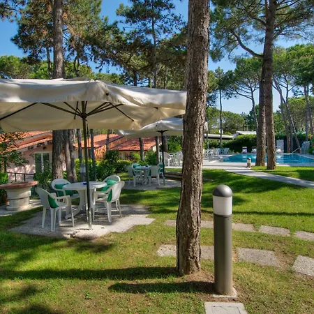 酒店 加拉加斯酒店 3*